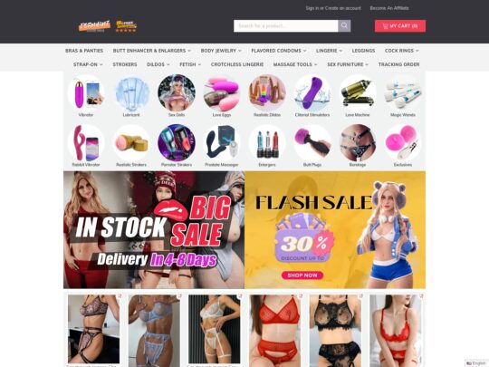 Pornhint review, a site that is one of many popular Online Sex Toy Shops