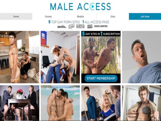 Male Access review, a site that is one of many popular Gay Porn Sites