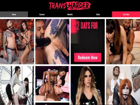 Trans Harder review, a site that is one of many popular Trans Porn Sites